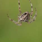 Essential Web Designer Interview Guide: Tips for Success in the UK Job Market