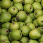 How to Craft an Impressive Quantity Surveyor Cover Letter: Tips and Examples for Success