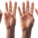 Essential Advertising Account Executive Resume Template for Career Success