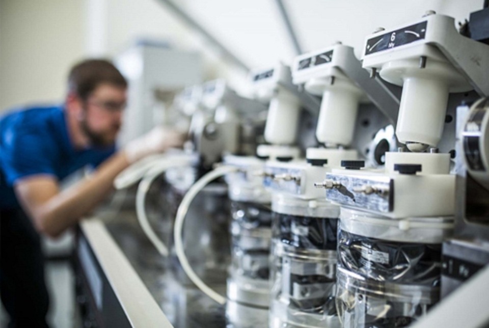 Navigating the Career Roadmap of a Research Scientist: Essential Steps for Success