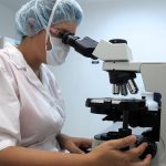 Essential Veterinary Nurse CV Template: Crafting Your Perfect Resume for Success