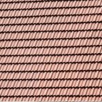 Navigating Your Career Path as a Roofer: Essential Roadmaps for Success