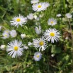 Essential Interview Tips for Aspiring Sous Chefs: A Comprehensive Guide