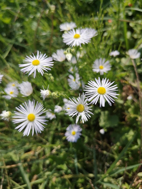 Essential Interview Tips for Aspiring Sous Chefs: A Comprehensive Guide