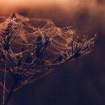 Ultimate Web Developer Interview Guide: Tips, Questions, and Best Practices for Success