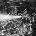 Essential Social Worker CV Template: Crafting a Winning Resume for Your Career in the UK