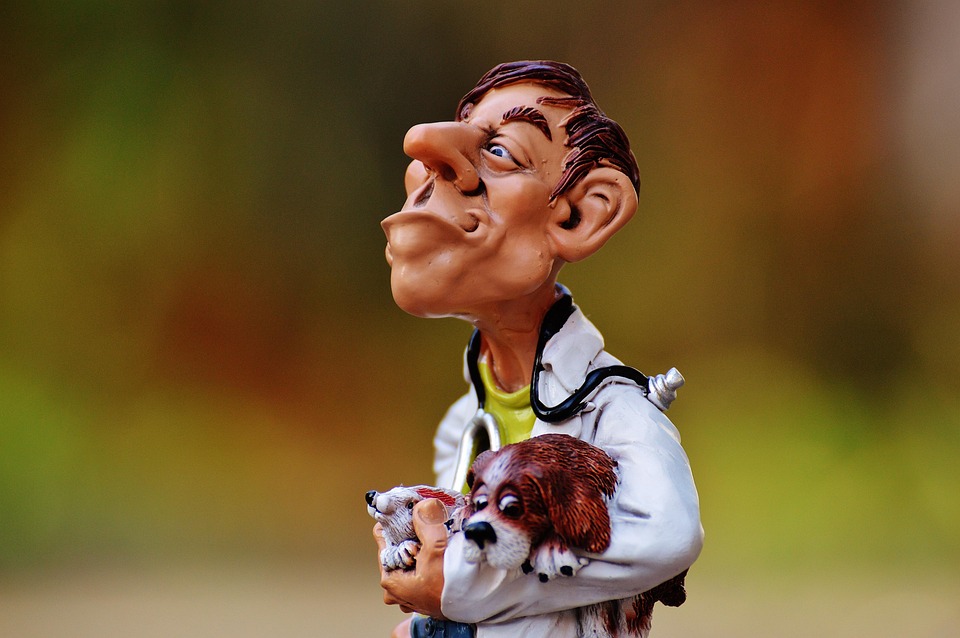 Essential Career Roadmaps for Aspiring Veterinary Nurses: Your Guide to Success in the UK