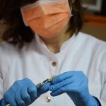 Navigating Your Career Path as a Clinical Scientist: Essential Roadmaps for Success