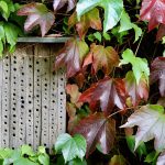 Essential Hotel Receptionist CV Template: Stand Out in the Hospitality Industry