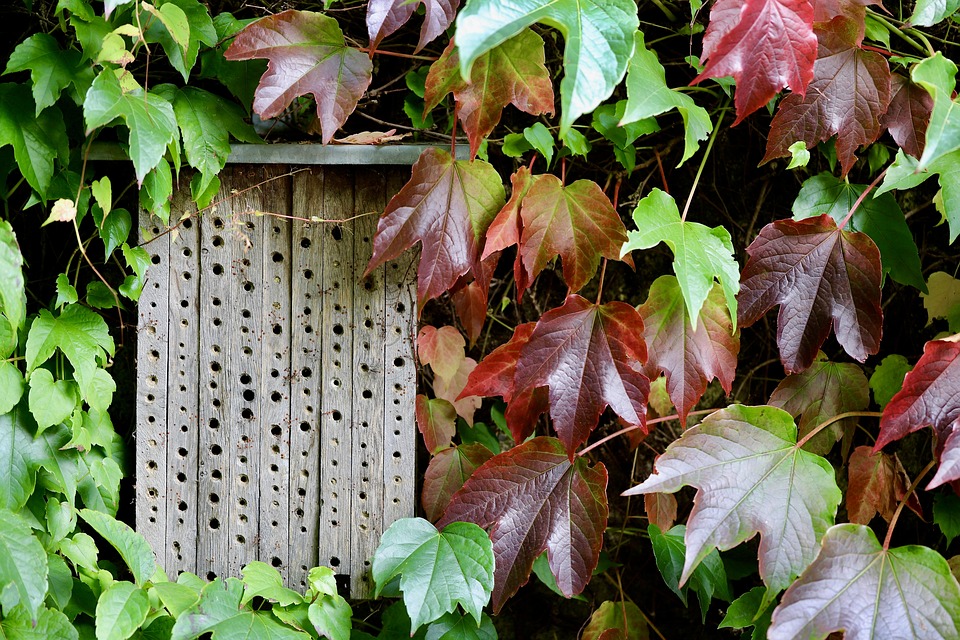 Essential Hotel Receptionist CV Template: Stand Out in the Hospitality Industry