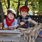 Essential Director of Sales Resume Template: Crafting a Winning CV to Elevate Your Career