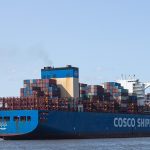 Navigating Your Career Path: A Comprehensive Guide to Becoming a Successful Freight Forwarder