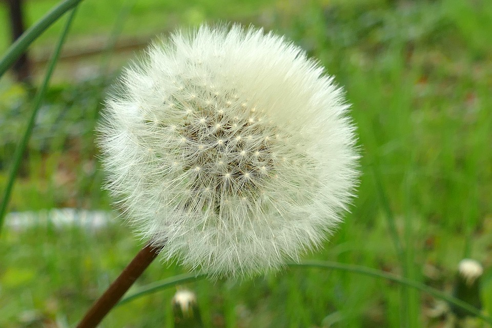 Essential Distribution Manager Resume Template: Stand Out in Your Job Search