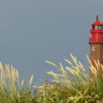 Essential Interview Guides for Aspiring Guidance Counsellors: Tips and Strategies for Success