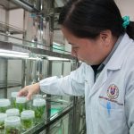 Crafting a Winning Cover Letter for Economist Researcher Positions: Tips and Best Practices