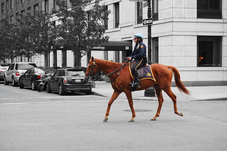 Ultimate Detective Constable CV Template: Stand Out in Your Police Application