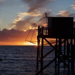 Navigating Your Career Path as a Fisheries Officer: Essential Roadmaps for Success