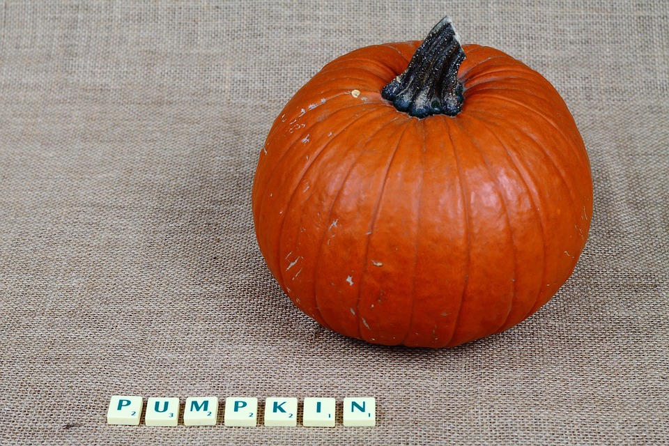 Essential Interview Guides for English as a Foreign Language Teachers: Tips and Strategies for Success