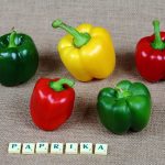 Crafting the Perfect Cover Letter for English as a Foreign Language Teaching Roles: Essential Tips and Examples