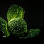 Navigating the Career Path of a Food Scientist: Essential Roadmaps for Success