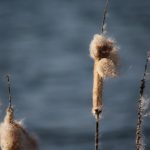 Crafting an Impressive Debt Adviser Cover Letter: Tips for Success