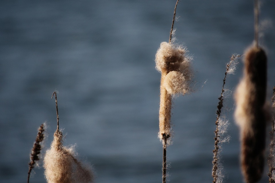 Crafting an Impressive Debt Adviser Cover Letter: Tips for Success