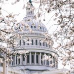 Navigating Career Roadmaps for Local Government Officers: A Comprehensive Guide to Progression and Opportunities