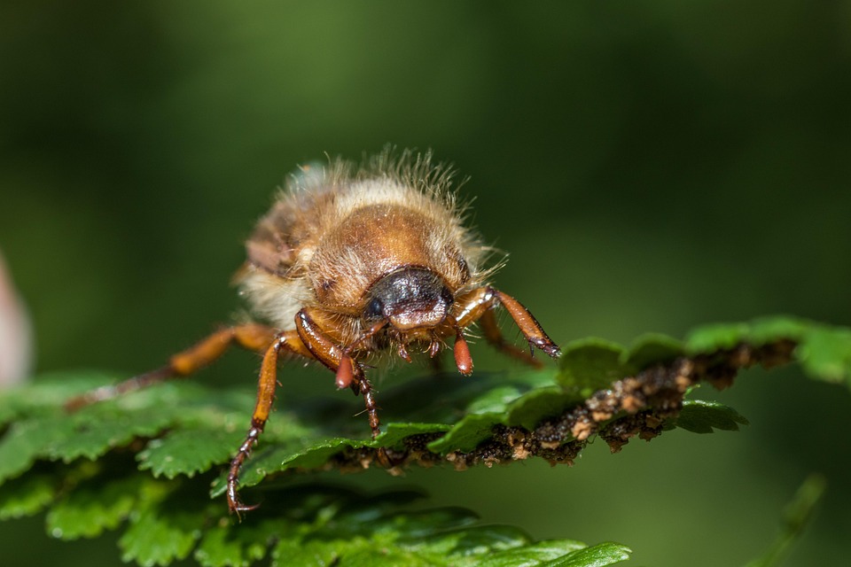 Essential Interview Guide for Junior Designers: Tips and Strategies for Success