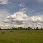 Essential Meteorological Officer CV Template: Crafting a Winning Resume for Your Career in Meteorology