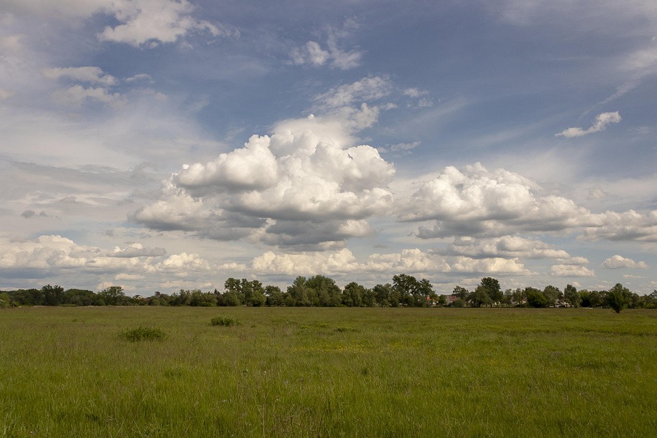 Essential Meteorological Officer CV Template: Crafting a Winning Resume for Your Career in Meteorology