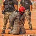 Essential Interview Guide for Police Community Support Officers: Tips to Ace Your Application