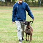 Navigating Your Career Path as an Insurance Claims Handler: Essential Roadmaps for Success