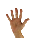 How to Craft an Impressive Cover Letter for Language Teacher Positions: Tips and Examples