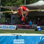 Essential Junior Architect Resume Template: Stand Out in Your Job Application