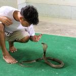 Navigating Your Career Path as an IT Trainer: A Comprehensive Roadmap for Success