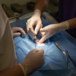 Navigating Your Career Path as a Procurement Specialist: Essential Roadmaps for Success