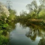 Essential Technical Author CV Template: Crafting Your Perfect Resume for Success