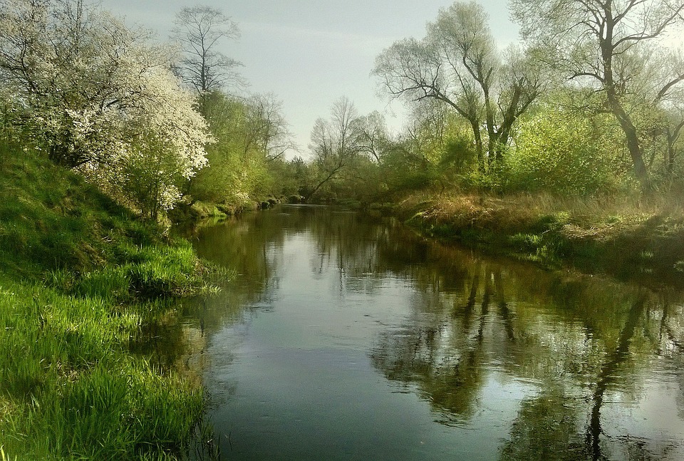 Essential Technical Author CV Template: Crafting Your Perfect Resume for Success