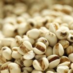 Crafting a Compelling Cover Letter for Pharmaceutical Sales Representative Roles: Tips for Success