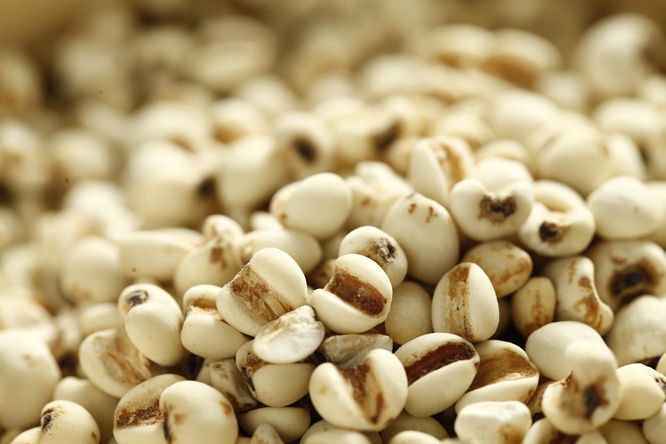 Crafting a Compelling Cover Letter for Pharmaceutical Sales Representative Roles: Tips for Success