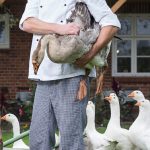 Essential Sous Chef CV Template: Stand Out in the Culinary Job Market