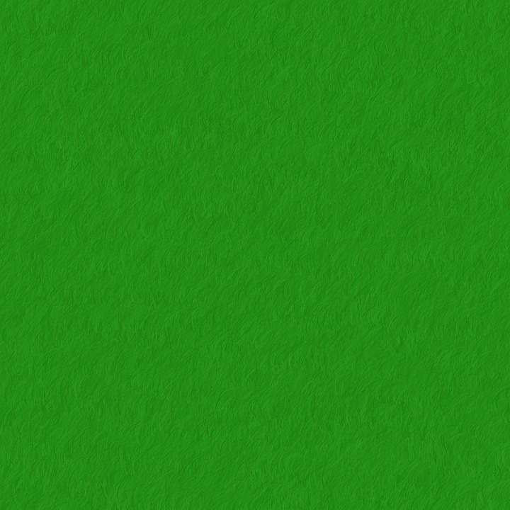 Navigating Your Career Path as a Sustainability Consultant: Essential Roadmaps for Success