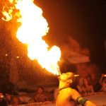 How to Craft a Winning Cover Letter for Stunt Performer Roles: Tips and Examples