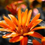 Essential Interview Tips for Aspiring Visual Effects Artists: A Comprehensive Guide