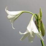 Essential Interview Guides for Public Sector Workers: Tips and Strategies for Success