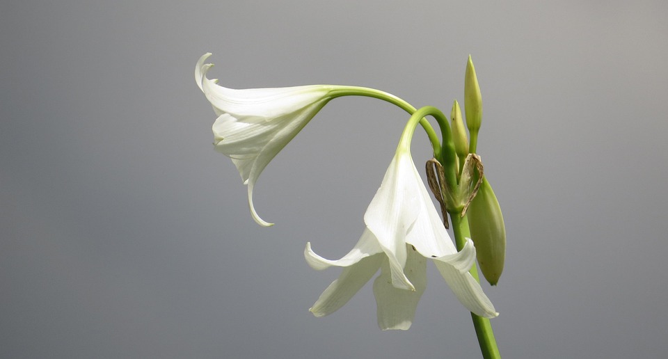 Essential Interview Guides for Public Sector Workers: Tips and Strategies for Success