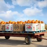 Essential Interview Tips for Supply Teachers: Your Ultimate Guide to Success