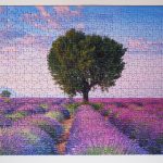 Navigating Your Career Path as a Work Placement Coordinator: Essential Roadmaps for Success