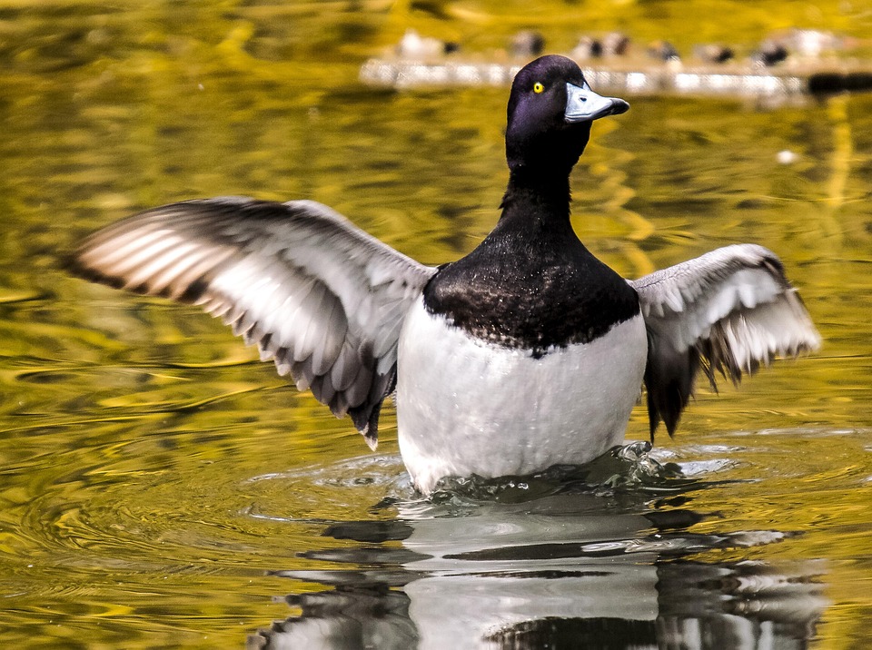 How to Craft an Impressive Cover Letter for a Pension Consultant Position: Tips and Examples