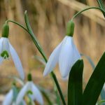 Navigating Your Career Roadmap: A Comprehensive Guide for Public Sector Workers in the UK